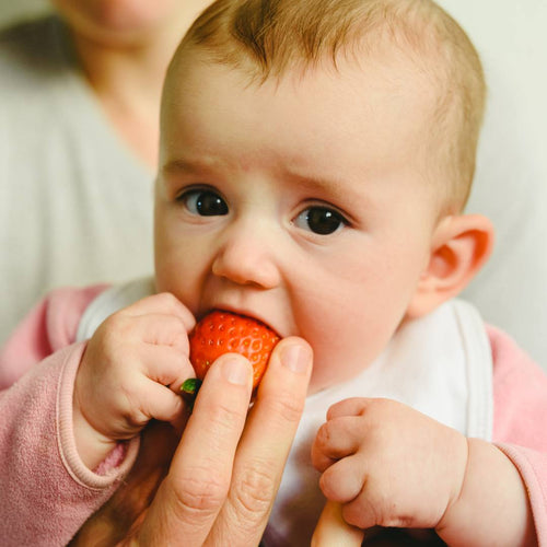 A Baby Feeding Guide, From Breastfeeding to Self-feeding!