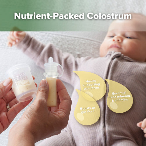 Silicone Colostrum Collector & Lidded Cup Pack (pre-sterilised) - 6ml - 6pcs