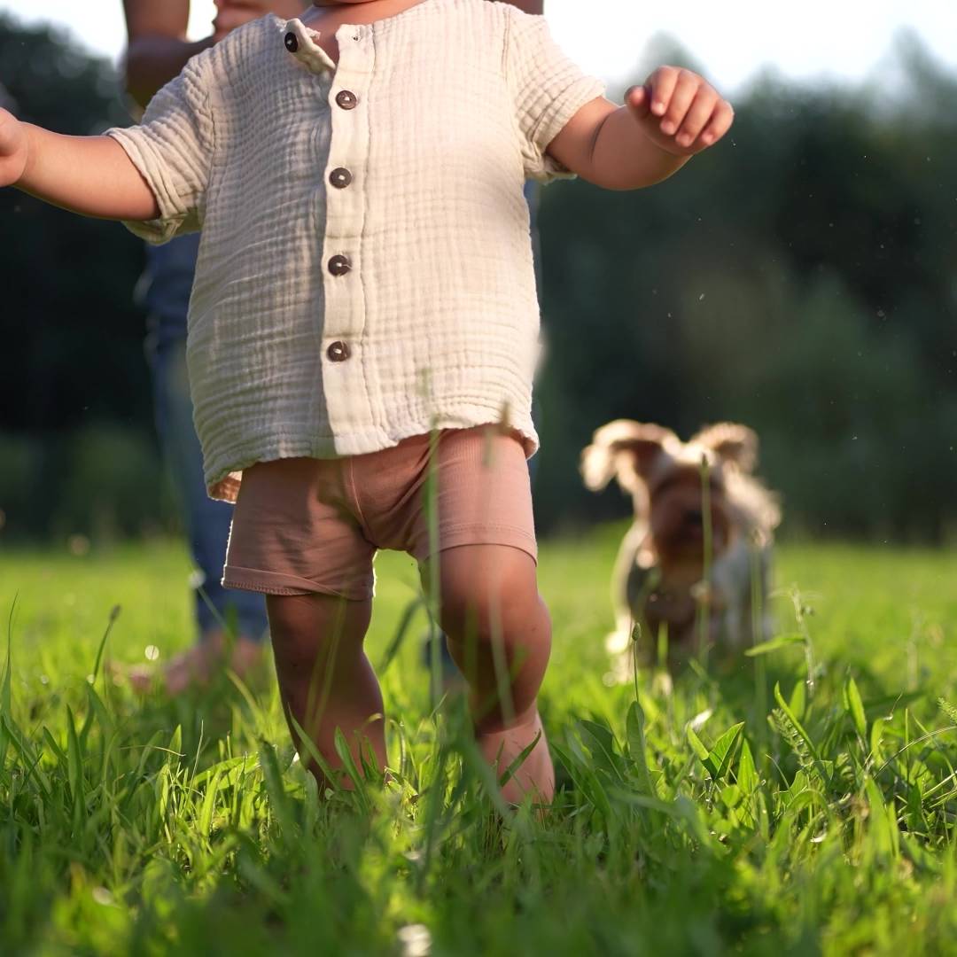 Baby learning to walk in the grass with parent and dog in the background