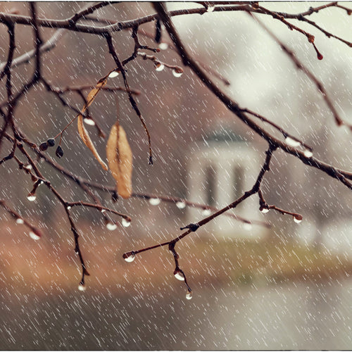 Winter Activity Ideas