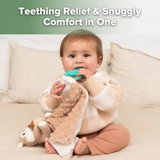 Snuggle Squirrel & Acorn Teether Blanket Combo