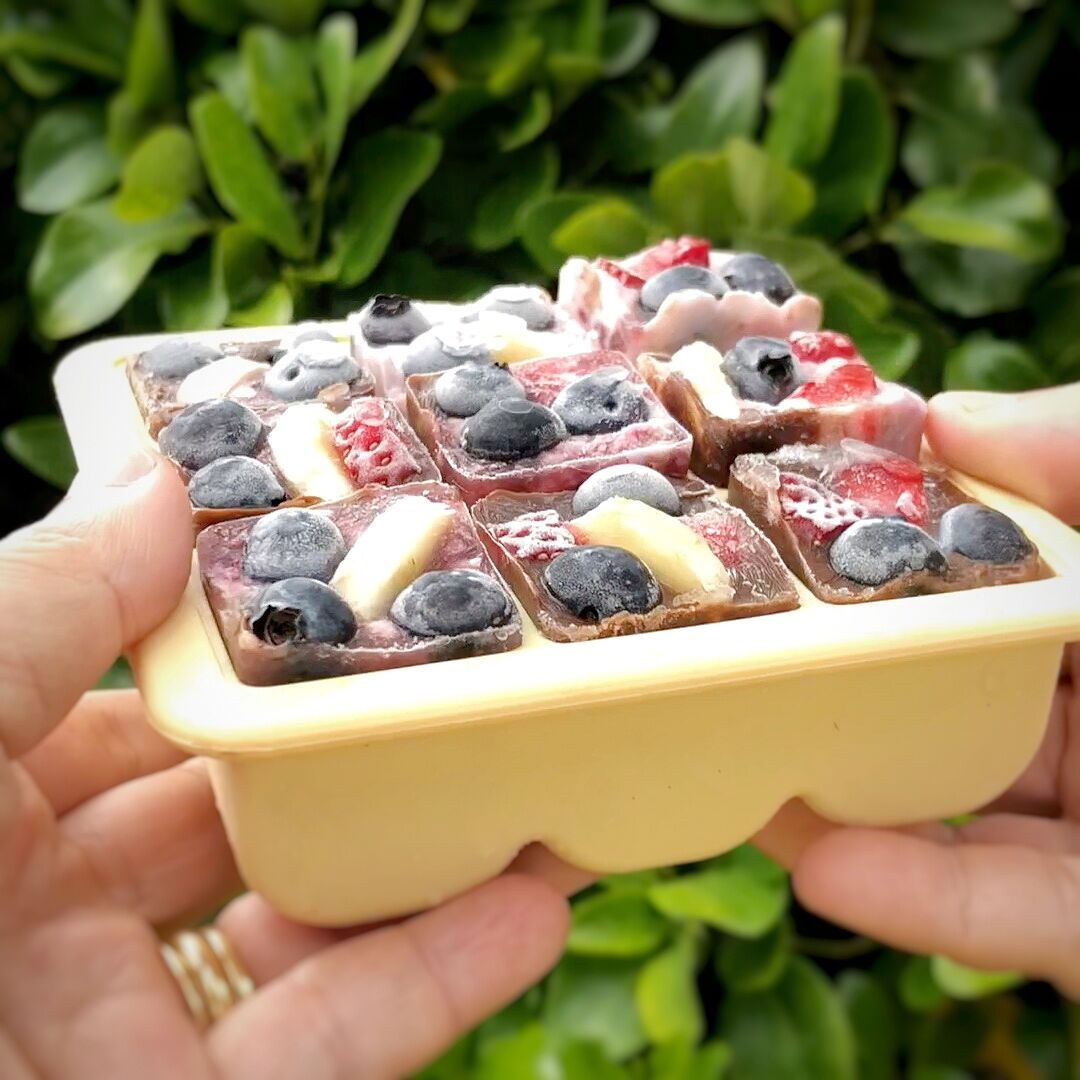 Baby Food and Breast Milk Freezer Tray | Haakaa.